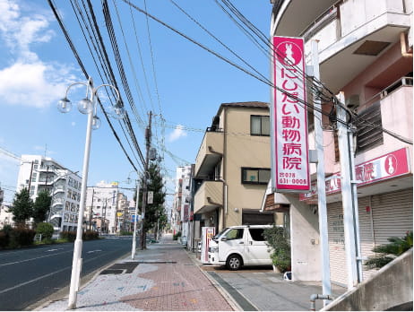 県道21号線(にしだい動物病院 の前)