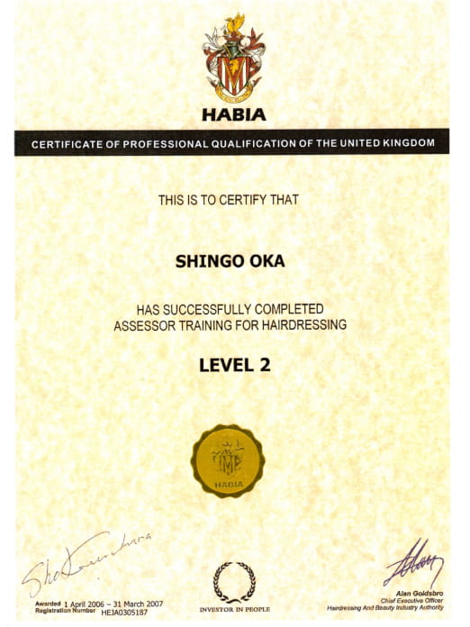 HABIA CERTIFICATE OF PROFESSIONAL QUALIFICATION ASSESOR LEVEL2 HEJA0408291